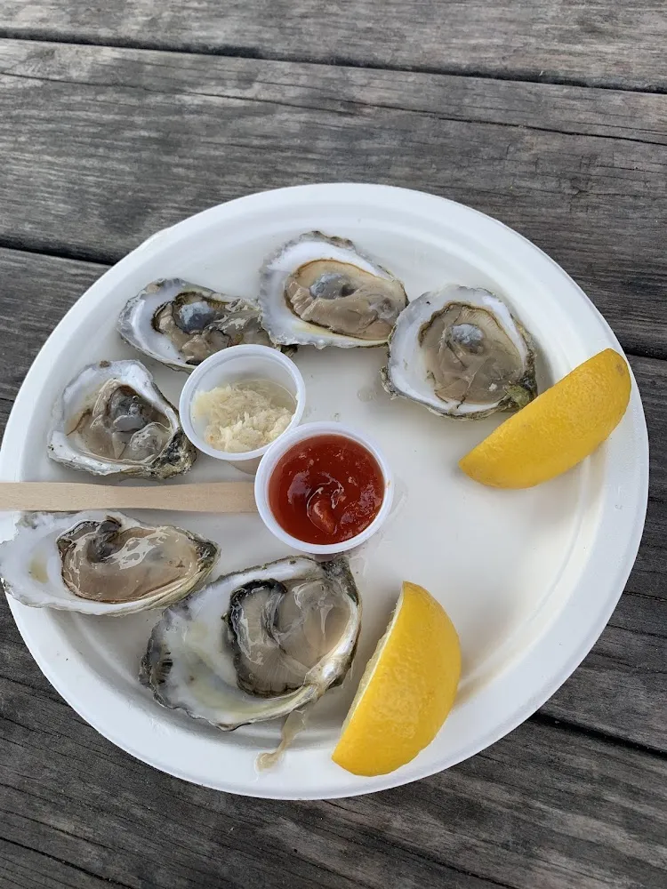 Oysters